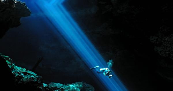 Множество зъби които по всяка вероятност са принадлежали на мегалодон