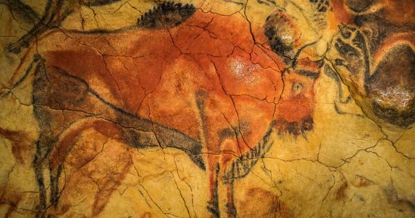 Татко татко виж – биволи Как би реагирал един баща