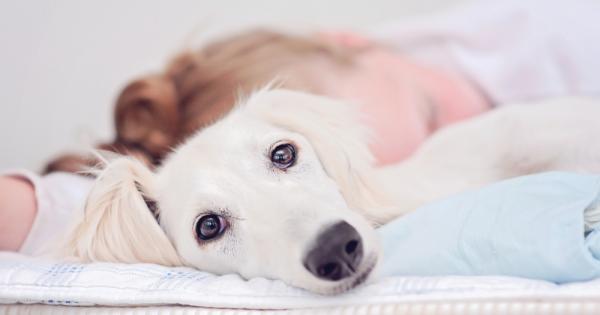 Напоследък се обръща все по голямо внимание на здравословните и икономическите