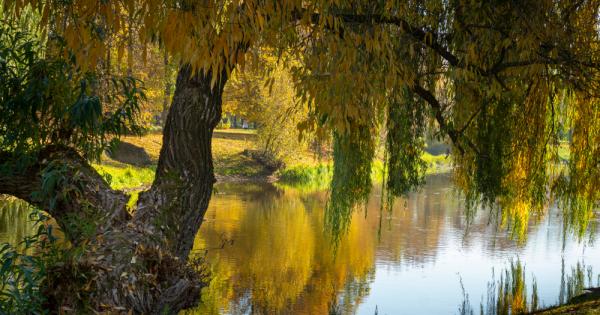 Както на скъпоценните камъни се приписват конкретни качества и влияния