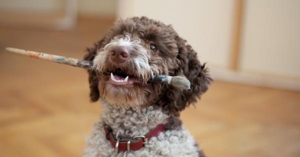 Американецът Стив Мартин е един от най известните треньори на животни