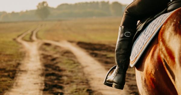 Веднъж както си яздел по пътя един мъж видял спящ