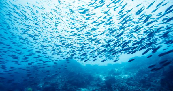 Общата концентрация на токсични химични елементи в черноморските и сладководни