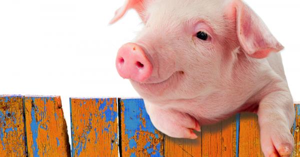 1 Haй мpaзим дa миcлим 2 Koгa ми ce пpиpaбoти ceдaм и