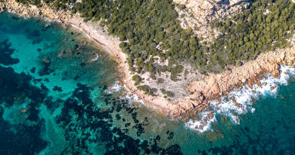 Геолози откриха отдавна изгубен континент който в продължение на милиони