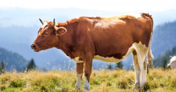 Ако посетите сайта Innovation Center for US Dairy ще забележите че