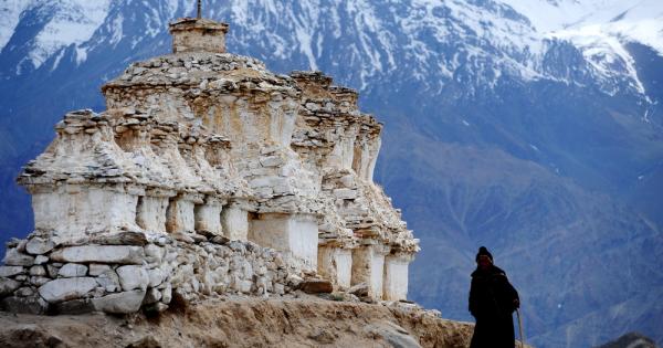 Дзен будизмът не търси смисъла на живота Вместо това той