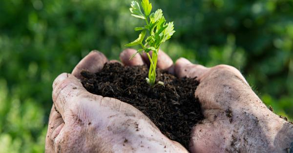 Съветите на дълголетниците винаги са много ценни защото зад тях