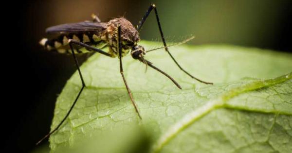 Маларийни паразити резистентни на ключовите медикаменти с които се лекува