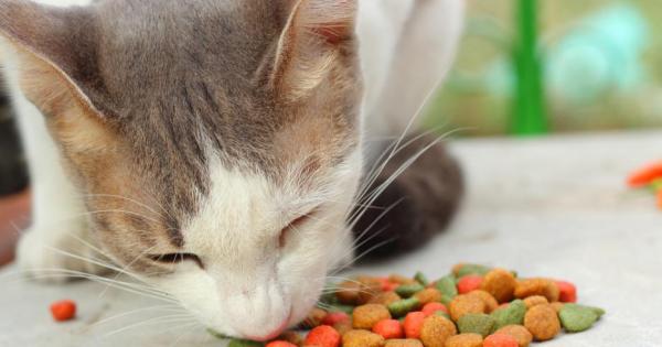 Ако нямам нищо друго за ядене мога ли да ям