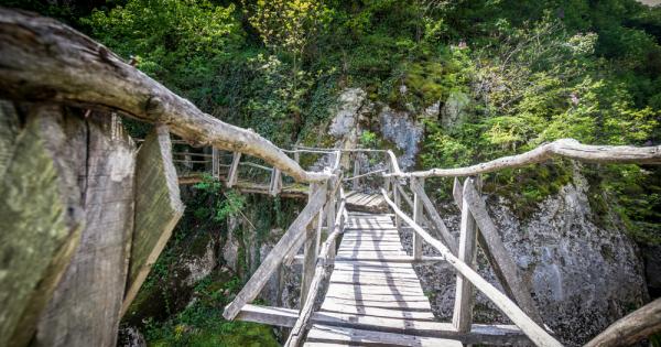 Това лято Ели Иванова – пътешественик и създател на блога