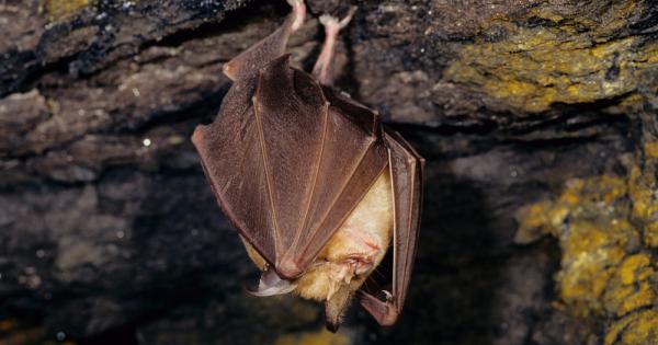 Фондация Наука за природата ФНП наскоро получи финансова подкрепа от