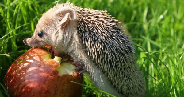 Известно е че трябва да се яде за да се