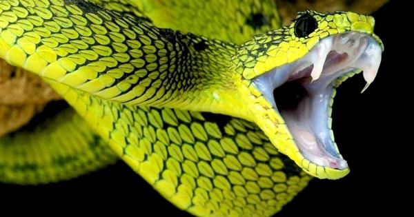 Редица травми и инциденти дори с фатален край могат да