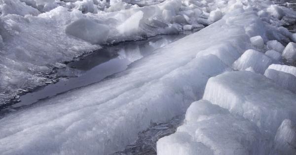 На пръв поглед тези топки които са се появили изненадващо