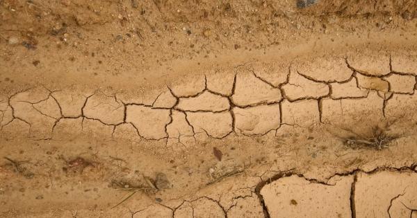 Нов доклад на WWF Германия предупреждава че климатичната криза предизвиква все