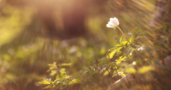 Последвай ме читателю Кой ти е казал че на този