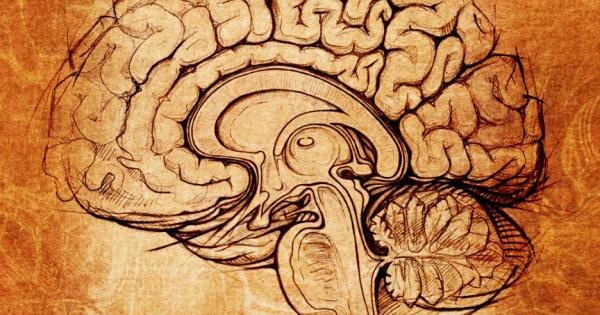 Големите масиви от данни превземат съвременното общество Човекът е претрупан