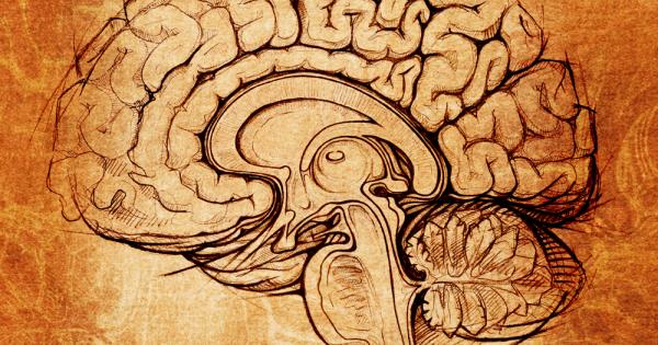 Мислите си че сте господари на собствените си умове и