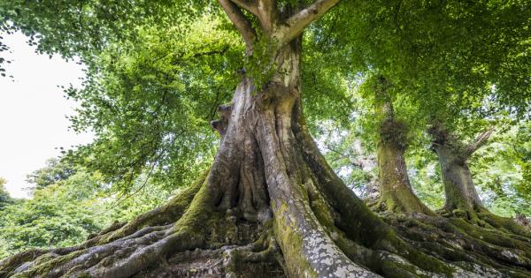 Още 10 дни до 31 август включително продължават номинациите