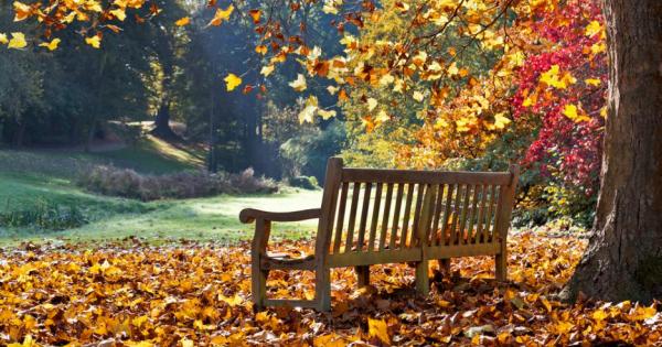 Лятото си отиде Времето захладнява пуловерите стават най добрите ни приятели