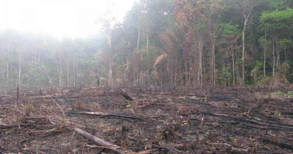 Скорошен доклад разкрива че през последните две десетилетия сме изгубили една