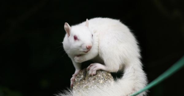 Вижте хубаво тези снимки тъй като вероятността да попаднете на подобно