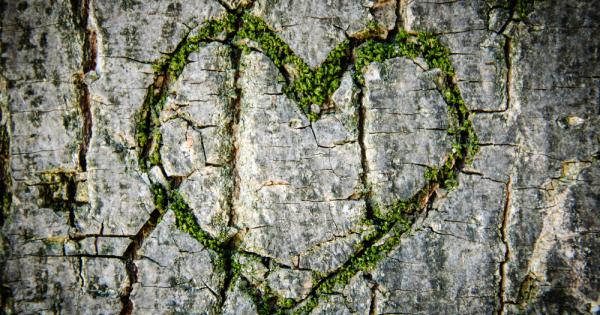 Това трябва да е най готиният и вероятно незаконен проект тип