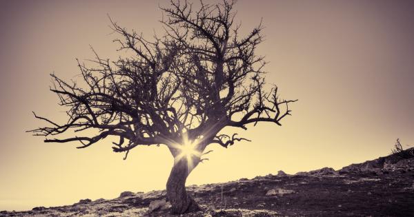 Живеем на скорост стресът често не ни позволява да си