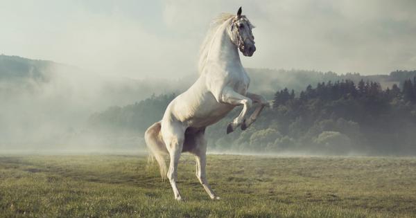 В едно село живеел много беден старец но даже кралете