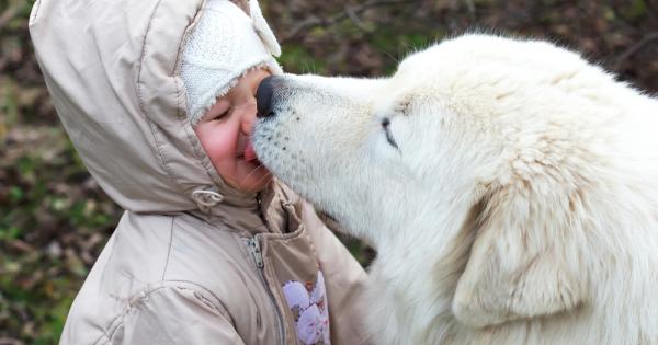 Въпреки често страховития си външен вид големите или дори гигантските