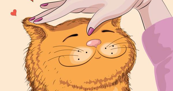 Овен Всичко стига да е пълно с енергия Телец Костенурка