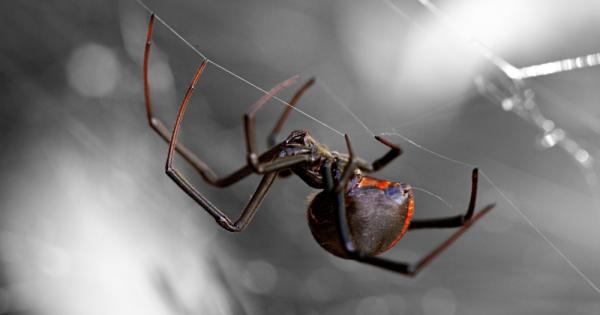 В опит да проследят генома на необикновен вирус екип от