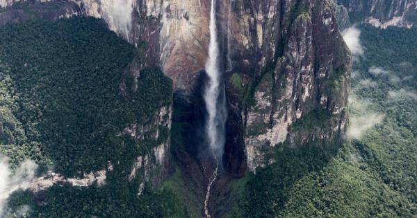 В любопитен документален филм на Би Би Си сър Дейвид