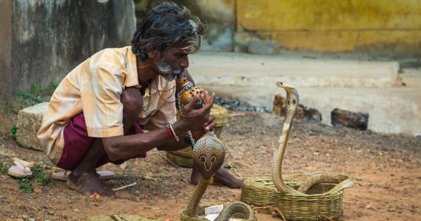 Не и не категорично пише PopSci Въпреки че гледката на стария