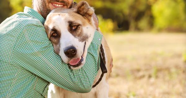 Неслучайно кучето се слави като най добрия приятел на човека Според