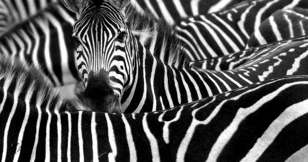 Австриец спечели дългогодишна съдебна битка позволяваща му да си върне