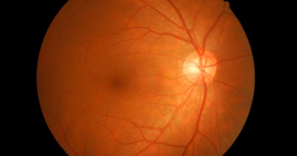 Биолози създадоха човешка ретина буквално от нулата, за да научат