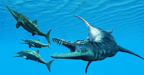 След като прекарали в хранилище 50 години останките от 170