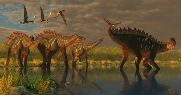 Може да изглежда като дракон заснет на снимачната площадка на