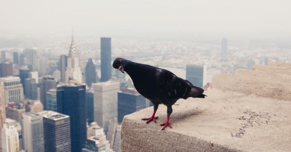 Размерът е най недооцененият регулатор на живите организми Ще демонстрираме това