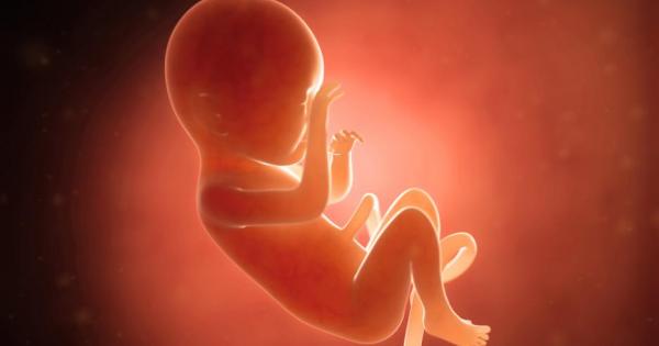 Испански учени изследваха музикалните предпочитания на нероденото още бебе Оказа