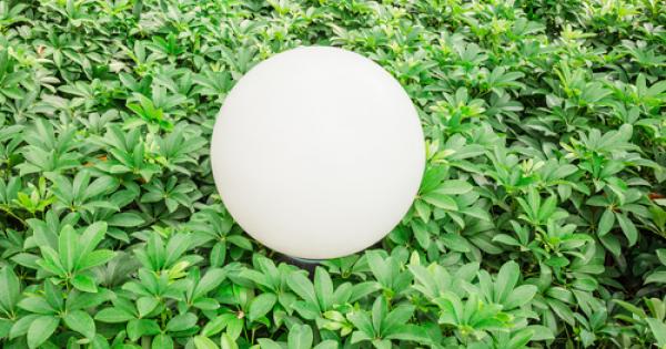 Технологиите и растенията са две коренно различни неща Единственото общо