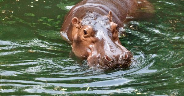 Наскоро екип от Фармацевтичния университет на Киото разкри тайната на