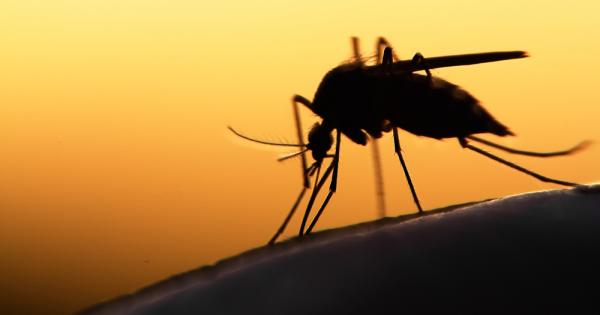 Един комар може да открие и ухапе човек в поле