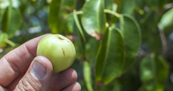 Макар че се среща в райони посещавани от много туристи