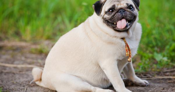 Изследванe проведено от изследователи от университета в Копенхаген потвърждава поговорката