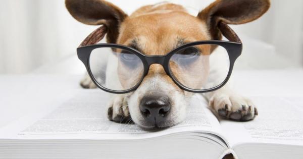 Всеки път когато кучето ви направи това което сте го