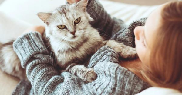 Шведски университет стартира петгодишен проект които има за цел да