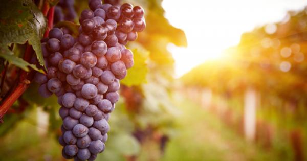 Чепка червено грозде е била продадено на търг в Япония